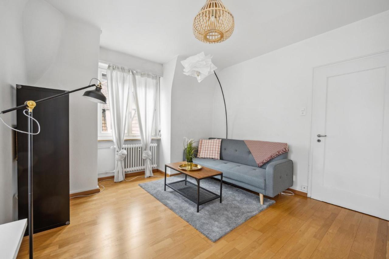 Cozy Apartment In The Heard Of Zurich Sonnegg Esterno foto