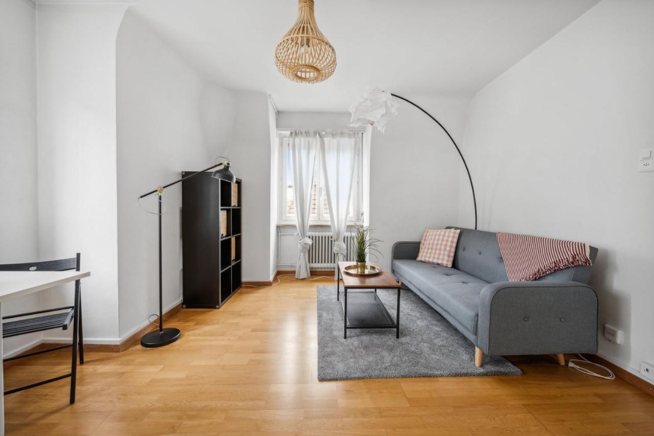 Cozy Apartment In The Heard Of Zurich Sonnegg Esterno foto